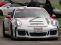 Porsche Treffen Mollis 2016 Stindt (6)
